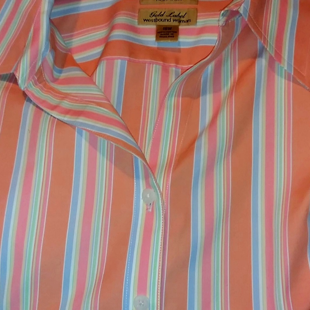 Ladies dress shirt
